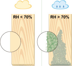 Luftentfeuchtung Schimmel Bakterien Gerüche